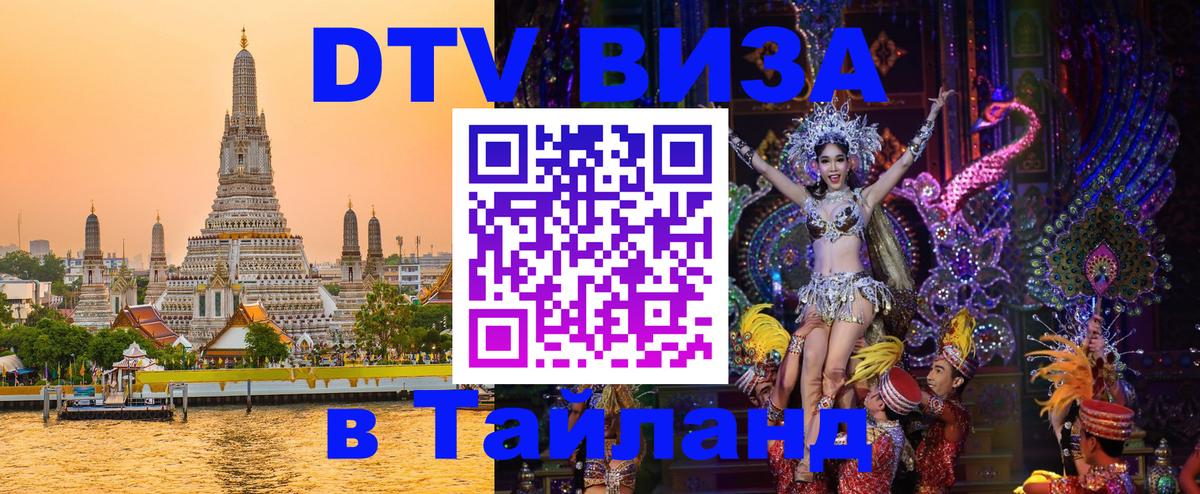Оформление DTV визы под ключ: стоимость и тарифы, только загранпаспорт - 20.11.2025 